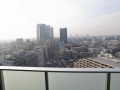 ザ・パークハウス新宿タワー1807